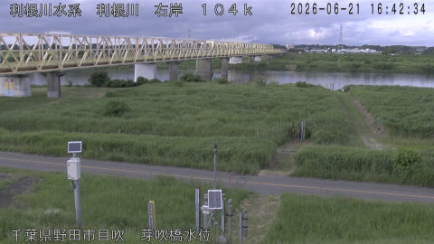 tonme2026062117_image