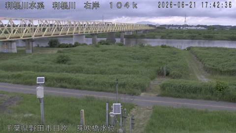 tonme2026062118_image