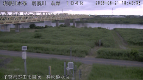 tonme2026062119_image