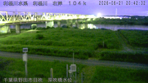 tonme2026062121_image