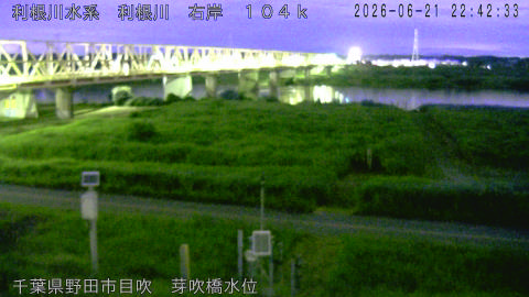 tonme2026062123_image