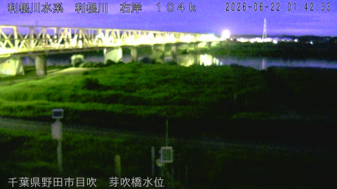 tonme2026062202_image
