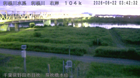 tonme2026062204_image