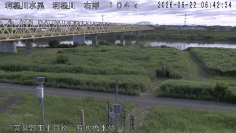 tonme2026062207_image