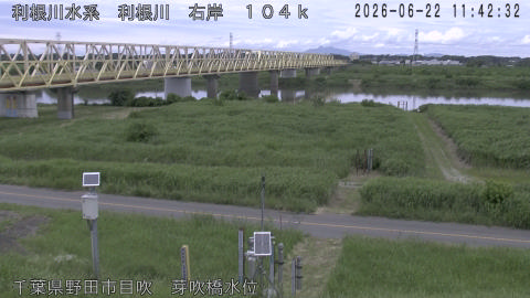 tonme2026062212_image