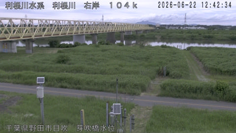 tonme2026062213_image