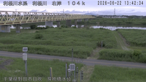 tonme2026062214_image