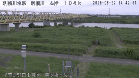 tonme2026062215_image