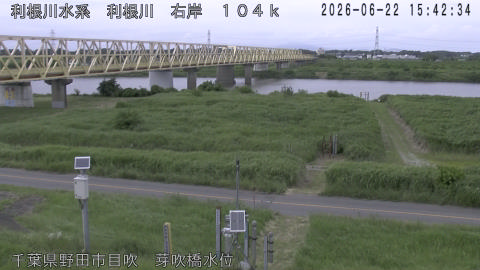 tonme2026062216_image