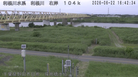 tonme2026062217_image