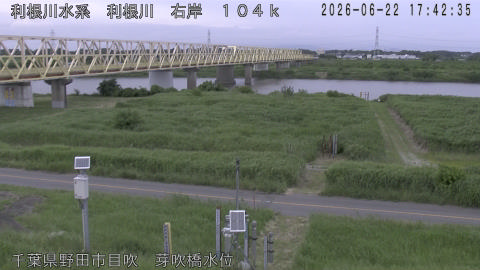 tonme2026062218_image