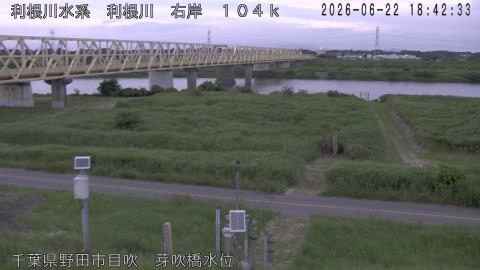 tonme2026062219_image