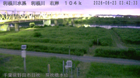 tonme2026062304_image