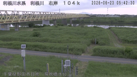 tonme2026062306_image