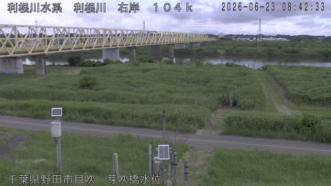 tonme2026062309_image