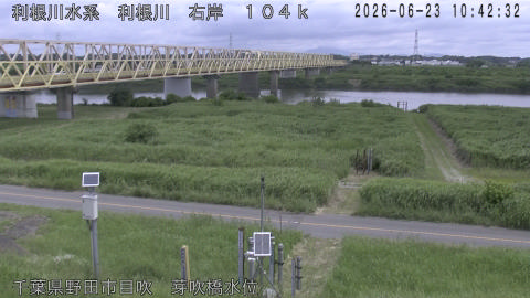 tonme2026062311_image