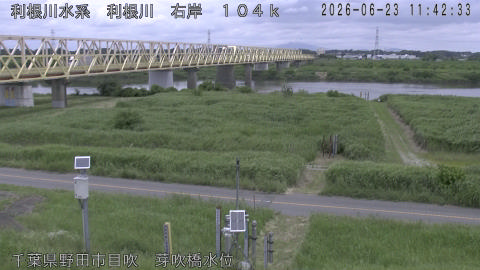 tonme2026062312_image