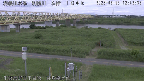 tonme2026062313_image