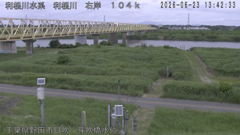 tonme2026062314_image