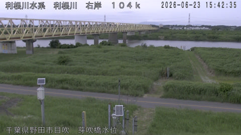 tonme2026062316_image