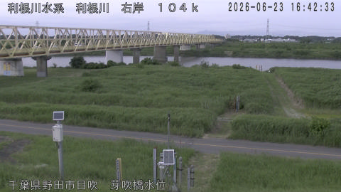 tonme2026062317_image