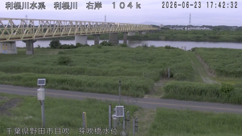 tonme2026062318_image