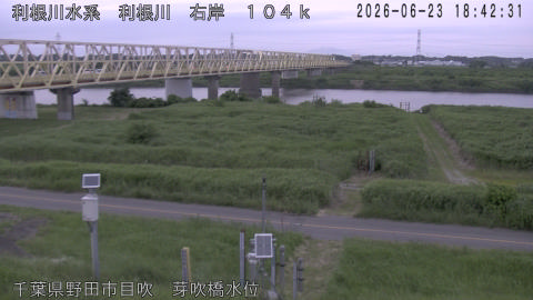tonme2026062319_image