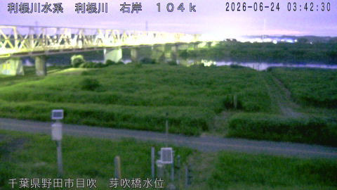 tonme2026062404_image