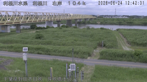 tonme2026062413_image