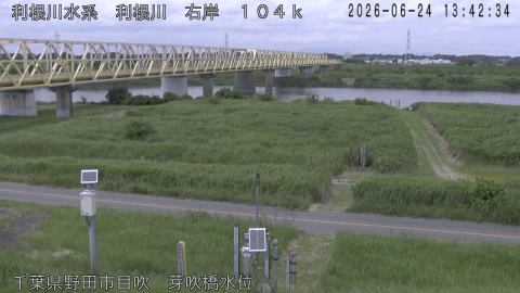 tonme2026062414_image