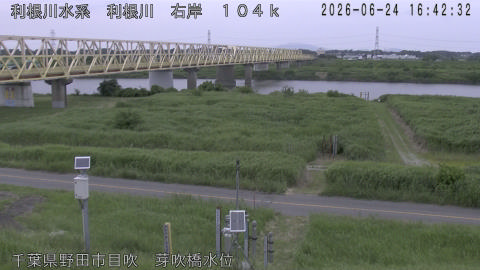 tonme2026062417_image