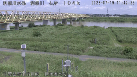 tonme2026071912_image