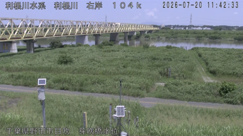 tonme2026072012_image