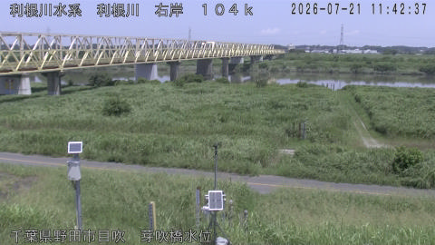 tonme2026072112_image