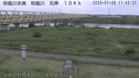 tonme2026072812_image