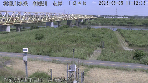 tonme2026080512_image