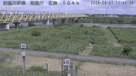 tonme2026080712_image