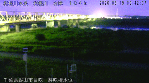 tonme2026081903_image