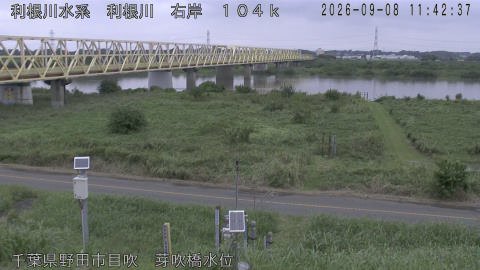 tonme2026090812_image