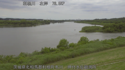 tonos2025060412_image