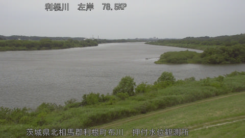 tonos2025060612_image
