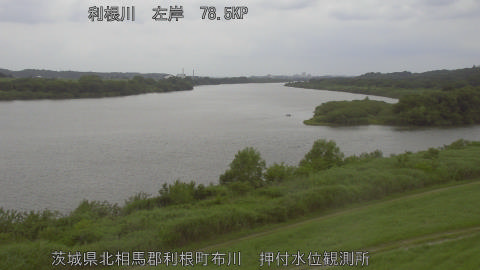 tonos2025061412_image