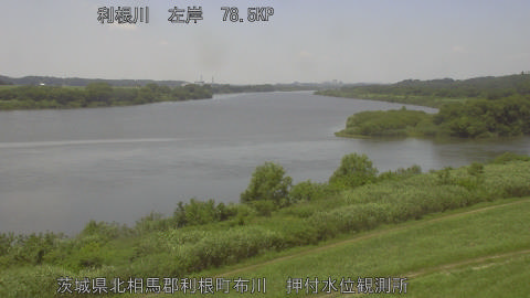 tonos2025061712_image