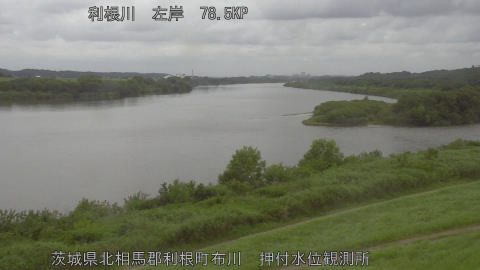 tonos2025062412_image