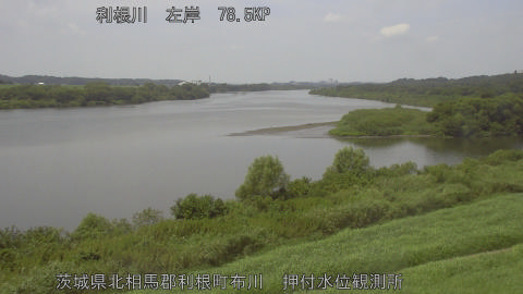 tonos2025081812_image