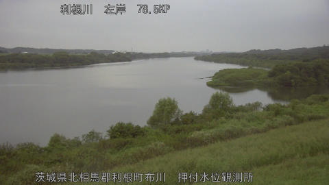 tonos2025091518_image