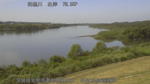 tonos2025100812_image