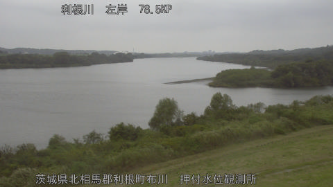 tonos2025101312_image