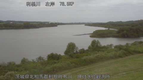 tonos2025101412_image