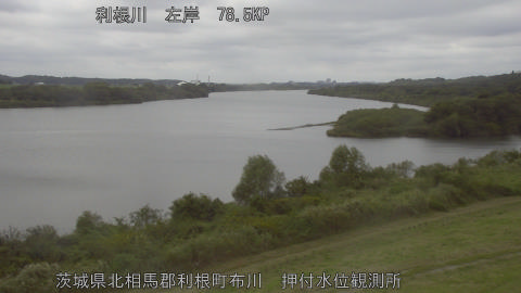 tonos2025101512_image